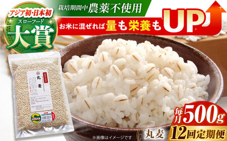 【全12回定期便】丸麦500g（1等麦使用）【葦農】 HAJ042 