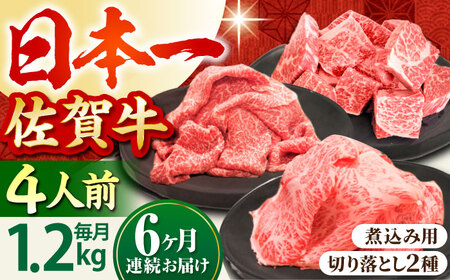 【全6回定期便】4人家族向け 佐賀牛 普段使いセットA [HBH036]  