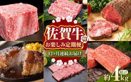 【全12回定期便】毎月お届け！佐賀牛 お楽しみ定期＜梅＞【Trade com 8】 [HBO004]牛肉