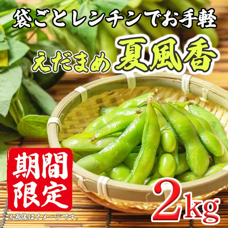枝豆 2kg 200g 10袋 レンチン 枝豆 
