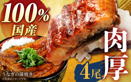 【肉厚ふっくら】国産うなぎ蒲焼き4尾【魚正】HBV003 うなぎ 蒲焼 国産