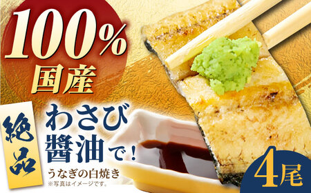 【わさび醤油でいただく】国産うなぎ 白焼き 4尾【魚正】[HBV007]鰻 ウナギ