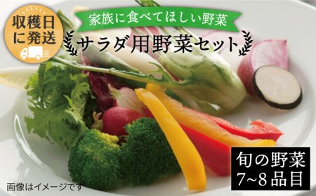 朝採れ！【 栽培 期間中、 農薬・化学肥料不使用 】 サラダ用 糸島 野菜 セット 《糸島》【オーガニックナガミツファーム】 	[AGE002]