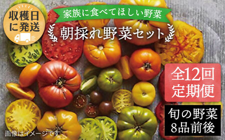 【全12回定期便】【福岡県糸島産】朝採れ 野菜 セット (8品前後) 《糸島》【オーガニックナガミツファーム】	[AGE012]