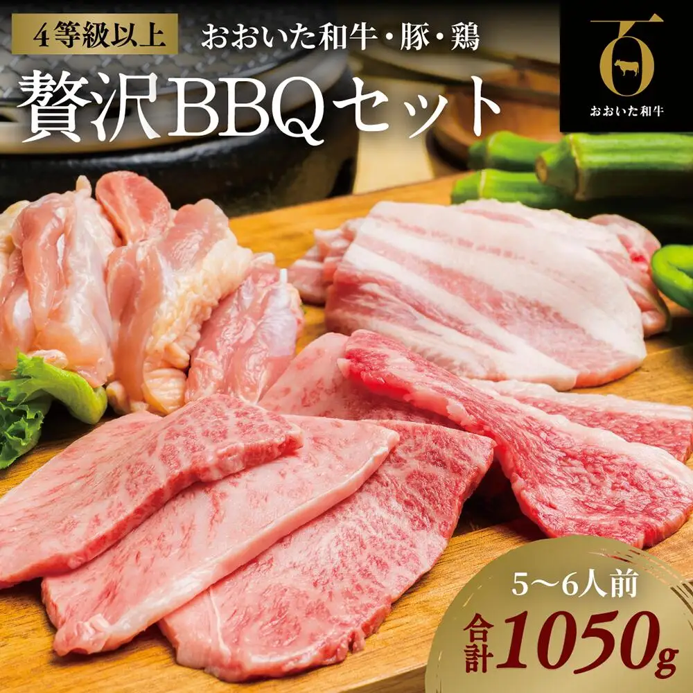 おおいた和牛焼肉セット(合計1050g) | 豊後高田市 焼肉