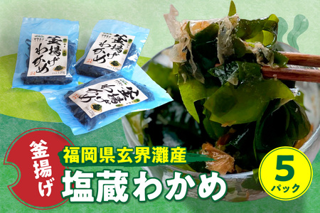 【翌営業日までに発送】福岡県玄界灘産　釜揚げ塩蔵わかめ（120g×5パック）【マサエイ】_HA0907