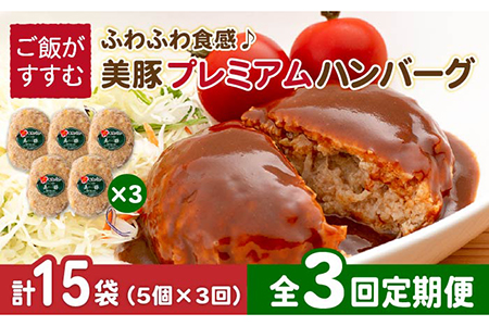 【3回定期便】五島美豚プレミアムハンバーグ5個 五島市/長崎フードサービス[PEL040]  ハンバーグ 手作り  肉 豚 豚肉 国産