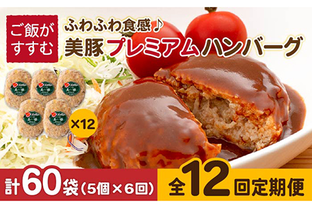 【12回定期便】五島美豚プレミアムハンバーグ5個 五島市/長崎フードサービス[PEL042]  ハンバーグ 手作り  肉 豚 豚肉 国産