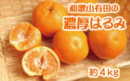 和歌山有田の濃厚はるみ　約4kg (2L又は3Lサイズ)　※2027年1月下旬～2月中旬順次発送予定【ard010C】