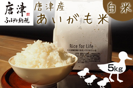 唐津産 あいがも米 5kg (白米) 一粒田 合鴨農法 無農薬 無化学肥料 コメ お米 ごはん
