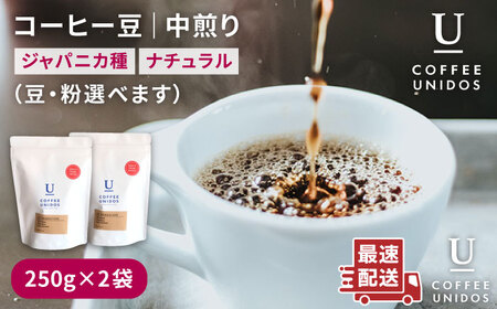 中煎り コーヒー 豆 250g × 2袋 （ 豆 ・ 粉 選べます ） ニカラグア産 エルポルベニール農園 ジャバニカ種 ナチュラル 《糸島》 【COFFEE UNIDOS】 [AQF005]