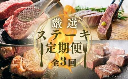 厳選ステーキ定期便全3回 ヒレ サーロイン 肩ロース サイコロステーキ | 豊後高田市 サーロイン