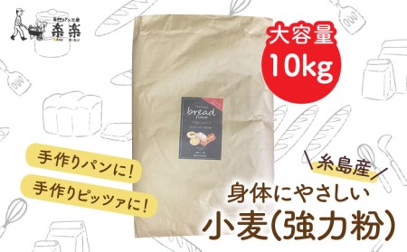 【 業務用 】 伊都 の みのり ( 強力粉 ) 10kg《糸島》 【天然パン工房楽楽】 【いとしまごころ】 [AVC064]