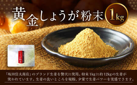 黄金しょうが粉末 1kg