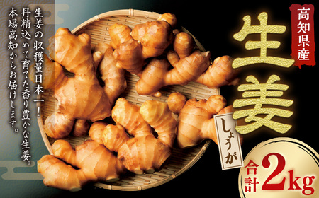 高知県産 生姜 2kg 生姜 ショウガ しょうが ジンジャー 野菜 薬味