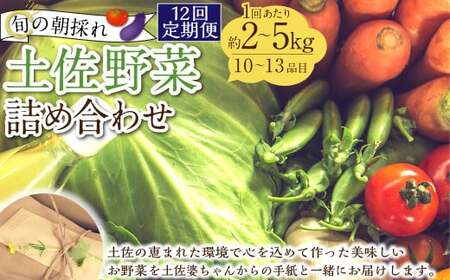 【定期便12回】旬の朝採れ土佐野菜詰め合わせ（10～13品目）詰め合わせ 野菜セット 野菜 ギフト やさいセット お取り寄せグルメ 家庭用 旬野菜 新鮮 特産 農薬不要 食材