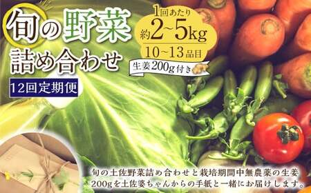 【定期便12回】旬の野菜の詰め合わせと栽培期間中農薬不使用の生姜200g付き 詰め合わせ 野菜セット 野菜 ギフト やさいセット お取り寄せグルメ 家庭用 旬野菜 新鮮 特産 農薬不要 食材