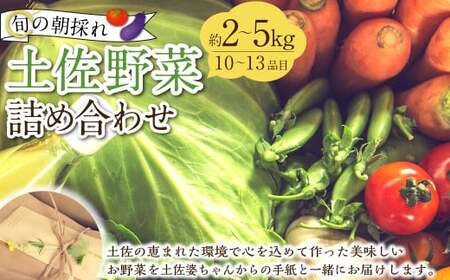 旬の朝採れ土佐野菜詰め合わせ（10～13品目）詰め合わせ 野菜セット 野菜 ギフト やさいセット お取り寄せグルメ 家庭用 旬野菜 新鮮 特産 農薬不要 食材