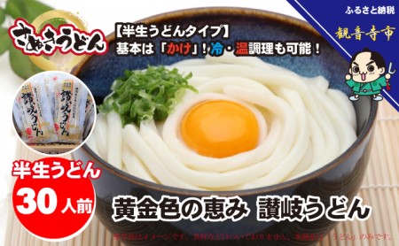 「さぬきうどん半生」 黄金色の恵み 讃岐うどん 30人前 300g×10袋 麺類 
