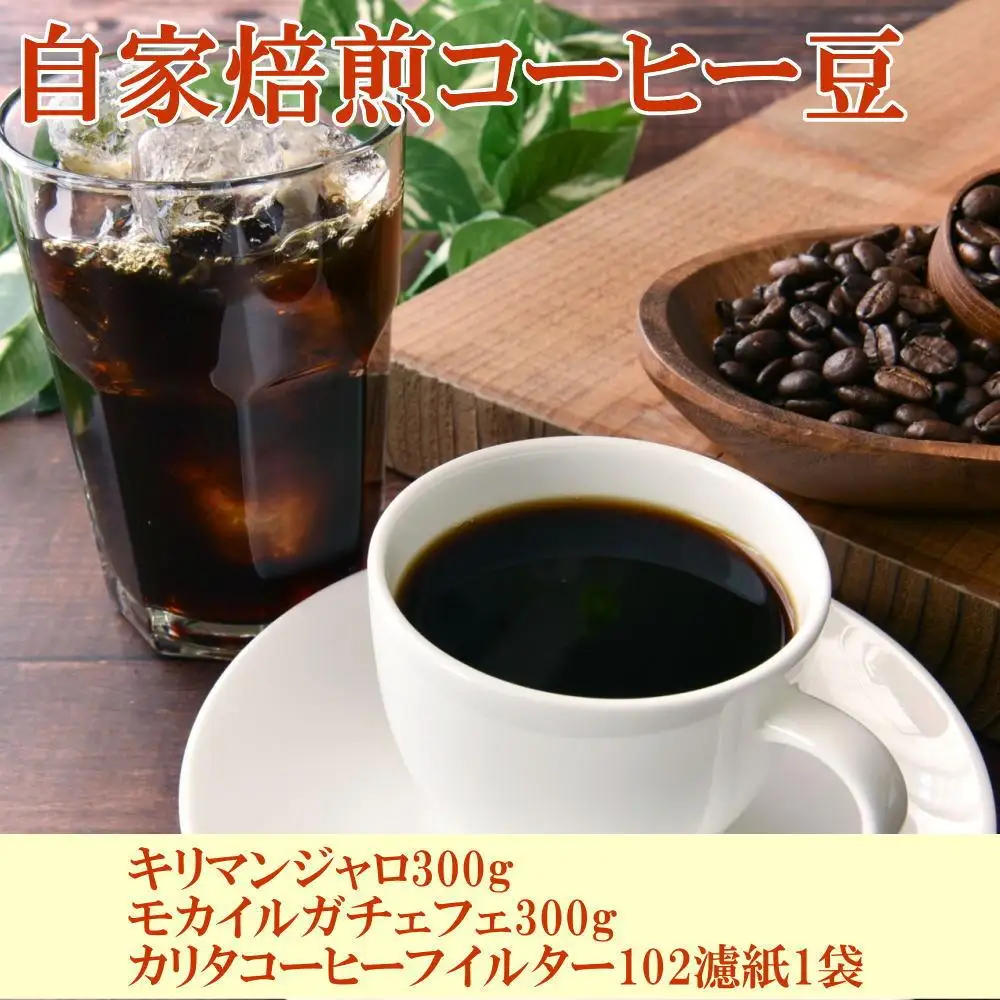 自家焙煎コーヒー豆（キリマンジャロ・モカイルガチェフェ）各300gとカリタ102コーヒーフイルター100枚セット【TM67】