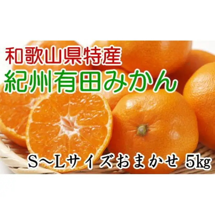 [厳選]和歌山有田みかん約5kg（S～Lサイズおまかせ）★2026年11月中旬頃より順次発送
