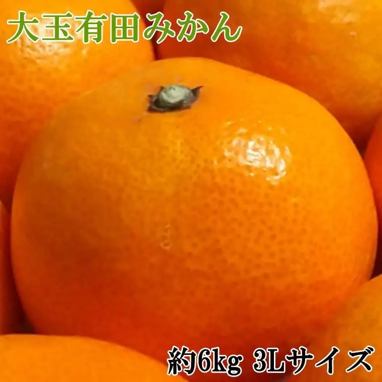  [秀品]和歌山有田みかん約6kg(3Lサイズ) ★2026年11月中旬頃より順次発送