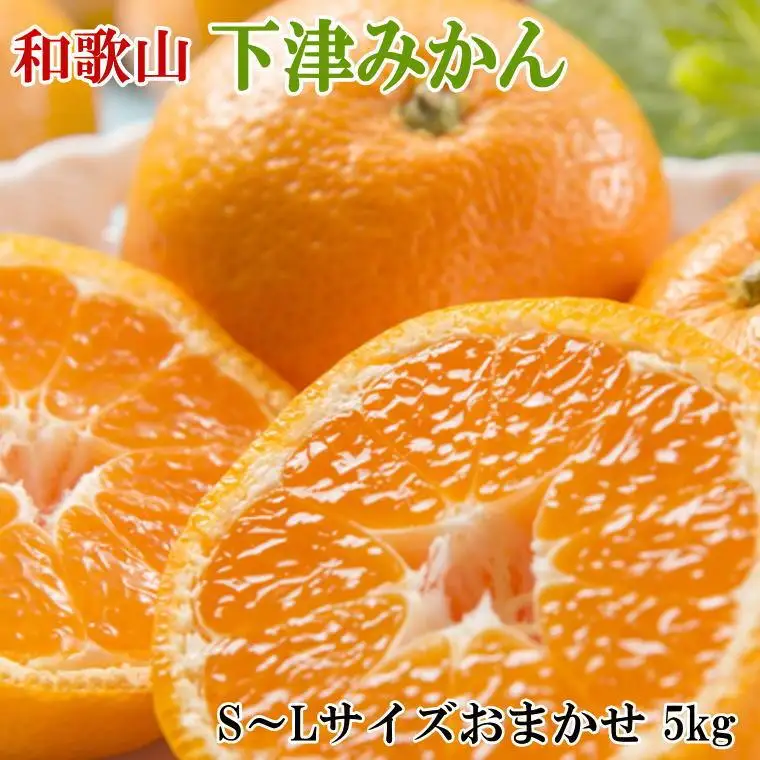 ［産直・秀品］和歌山下津みかん約5kg（S～Lサイズおまかせ）★2026年11月中旬頃より順次発送［TM133］