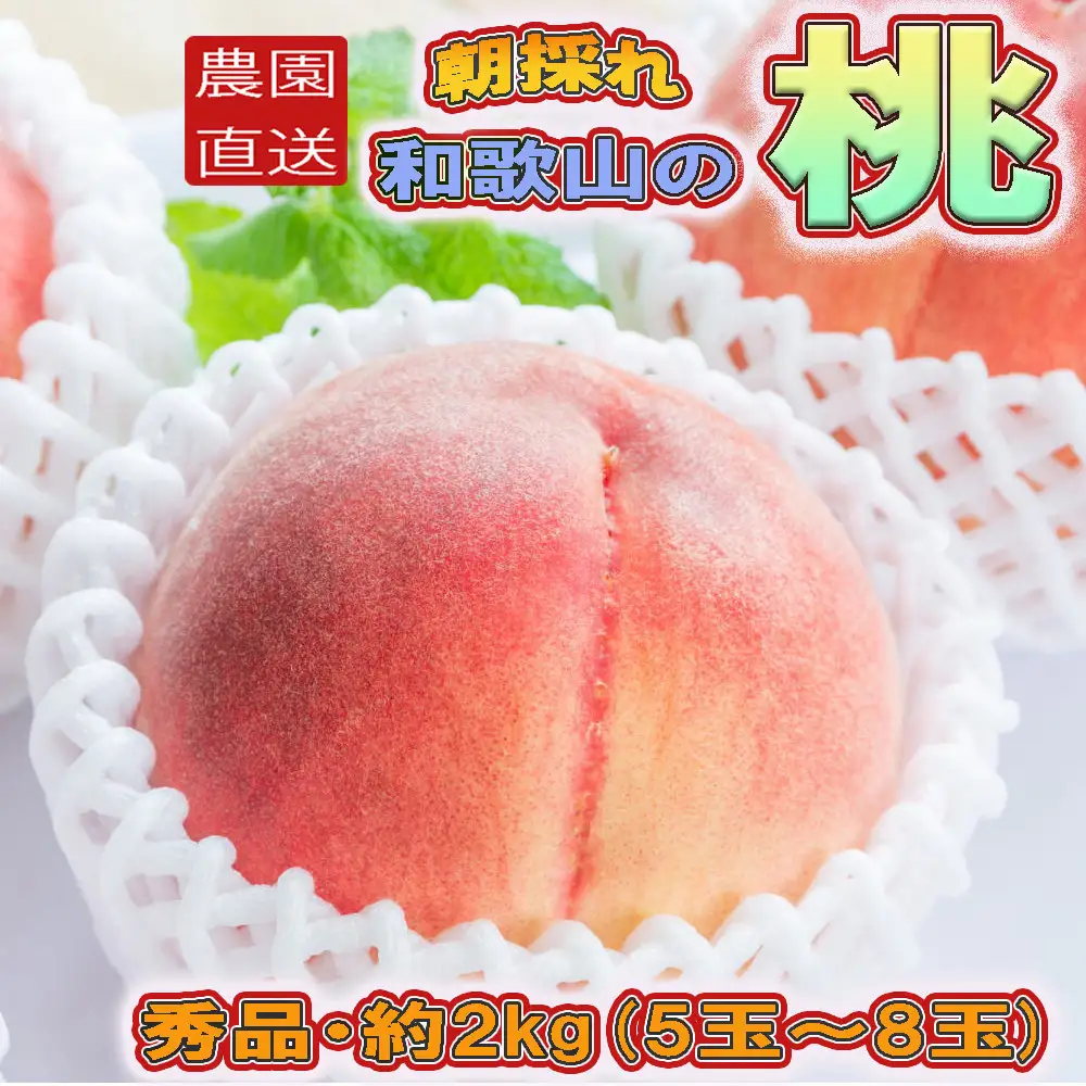 ［農園直送］朝採れ和歌山の桃　約2kg・秀品★2026年6月下旬～8月中旬頃順次発送★［TM167］桃 モモ 和歌山県産