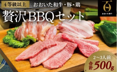 おおいた焼肉セット(合計500g) | 豊後高田市 焼肉