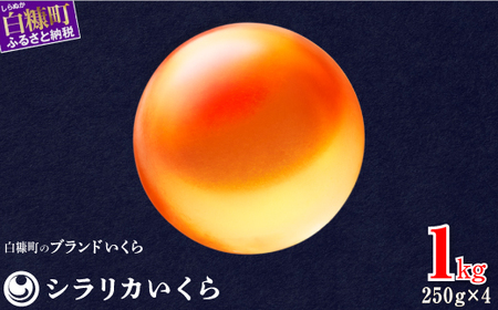 ＼高評価 4.9／白糠町のブランドいくら シラリカいくら (生いくら) 1kg ( 250g × 4 )_K061-0920-60DAYS