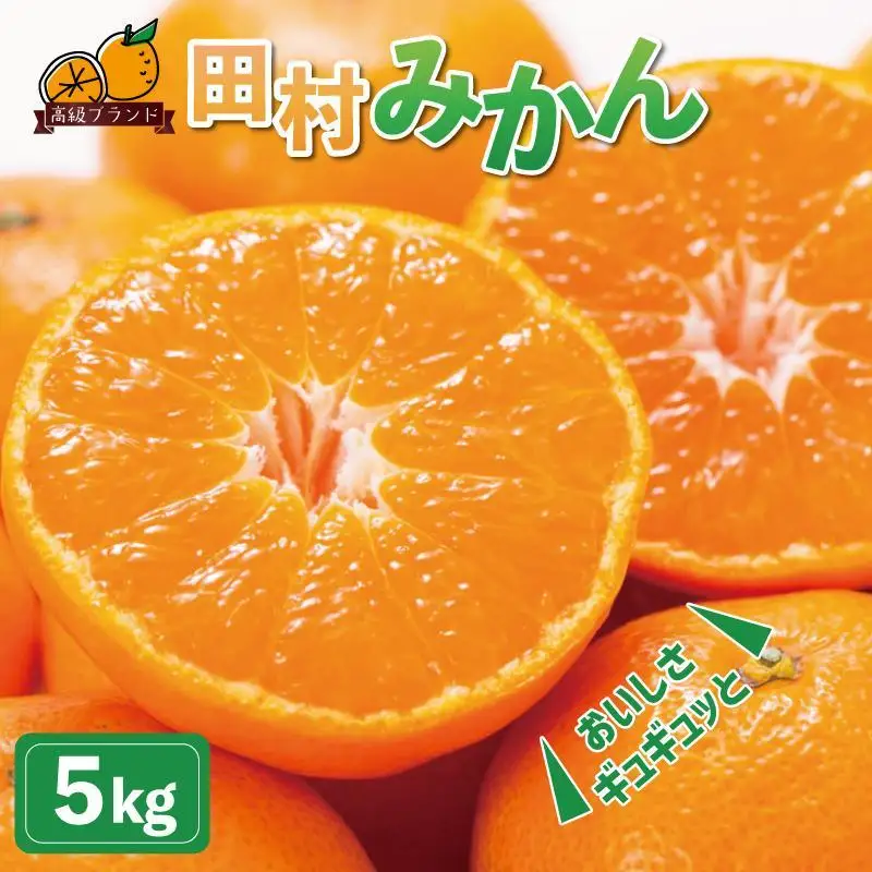 高級ブランド田村みかん　5kg［2026年11月下旬以降発送］［先行予約］［UT14］
