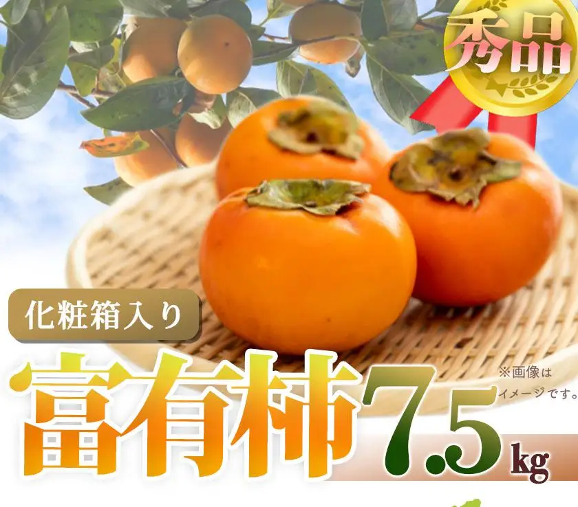 和歌山秋の味覚　富有柿　約７．５ｋｇ「2026年11月上旬以降発送予定」［UT48］