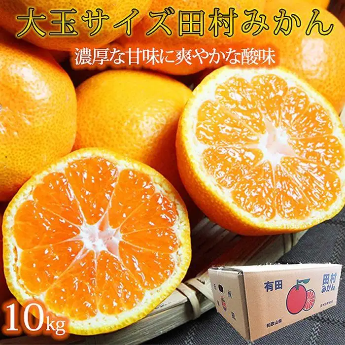 高級ブランド田村みかん　10kg　大玉サイズ［2026年11月下旬以降発送］［先行予約］［UT15］