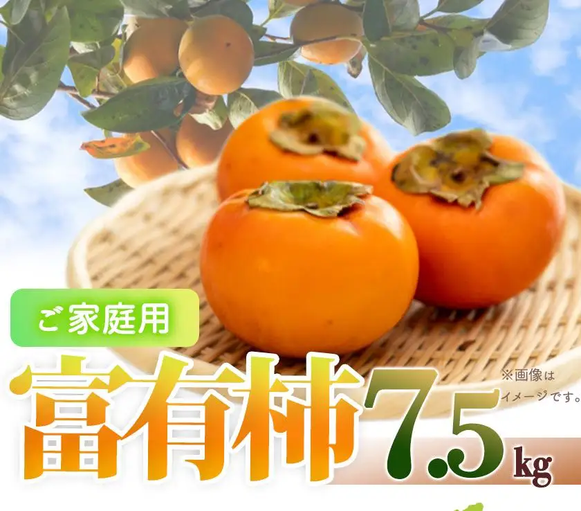 ［ご家庭用わけあり］和歌山秋の味覚　富有柿　約７．５ｋｇ「2026年11月上旬以降発送予定」［UT47］