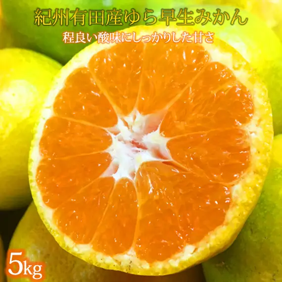紀州和歌山有田産ゆら早生みかん　5kg［2026年発送］［UT34］
