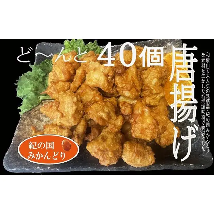 唐揚げ 紀の国みかんどり 特撰 唐揚げ40個 約1.5kg
