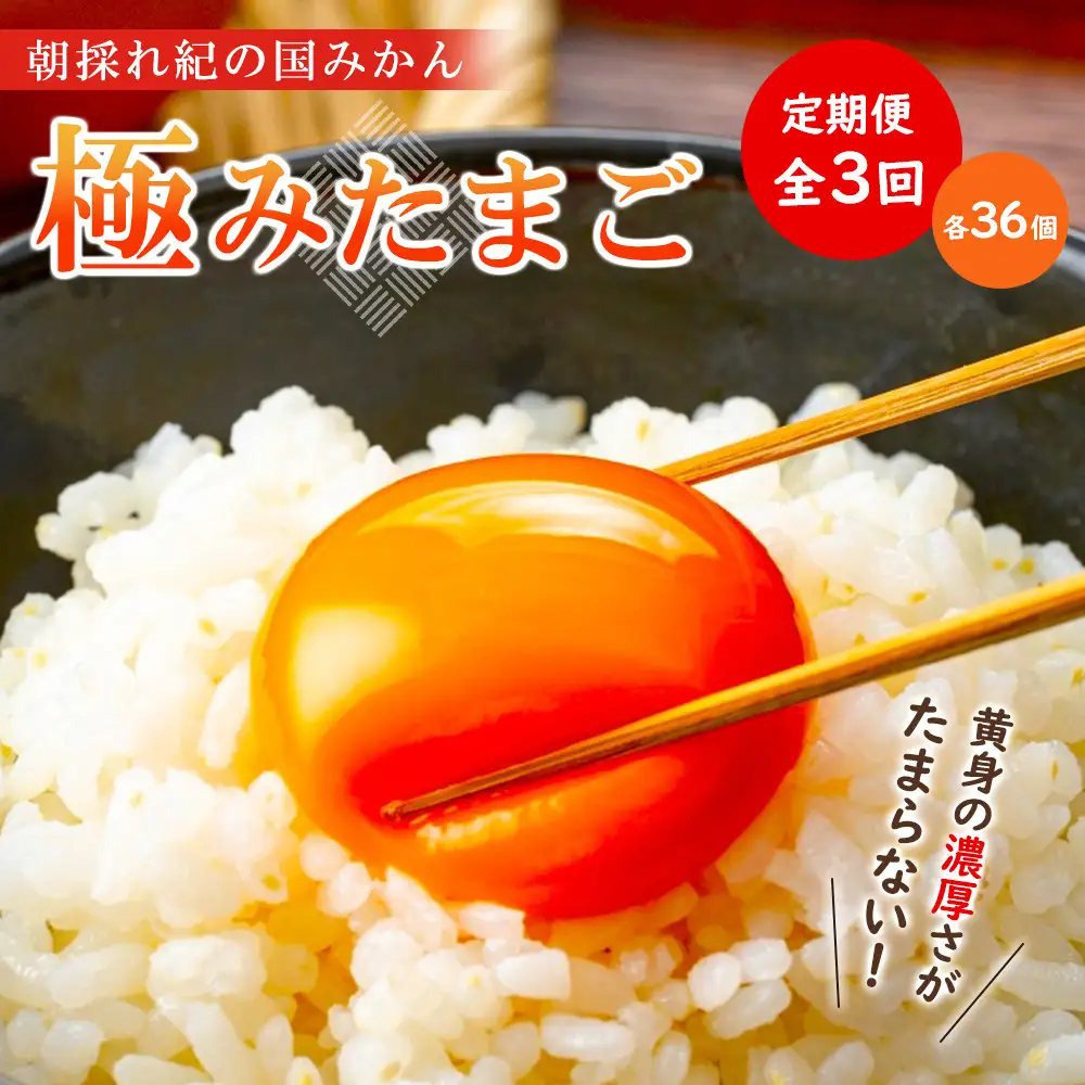 【全3回】紀の国みかん極みたまご定期便 卵 たまご 玉子 