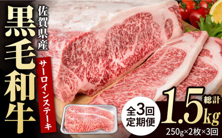 【3回定期便】佐賀県産 黒毛和牛 サーロインステーキ 500g / ステーキ [IAG087]