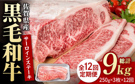 【12回定期便】佐賀県産 黒毛和牛 サーロインステーキ 750g / ステーキ [IAG092]