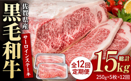 【12回定期便】佐賀県産 黒毛和牛 サーロインステーキ 1.25kg / ステーキ [IAG095]