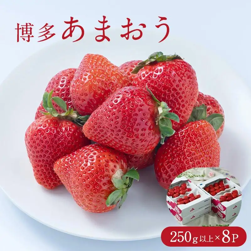 フルーツソムリエが選んだ 福岡県産春あまおう８パック※一部離島不可【1パックあたり250g】