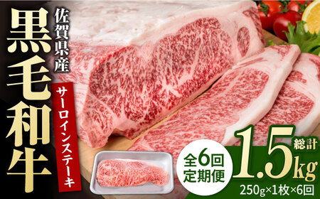 【6回定期便】佐賀県産 黒毛和牛 サーロインステーキ 250g / ステーキ [IAG085]