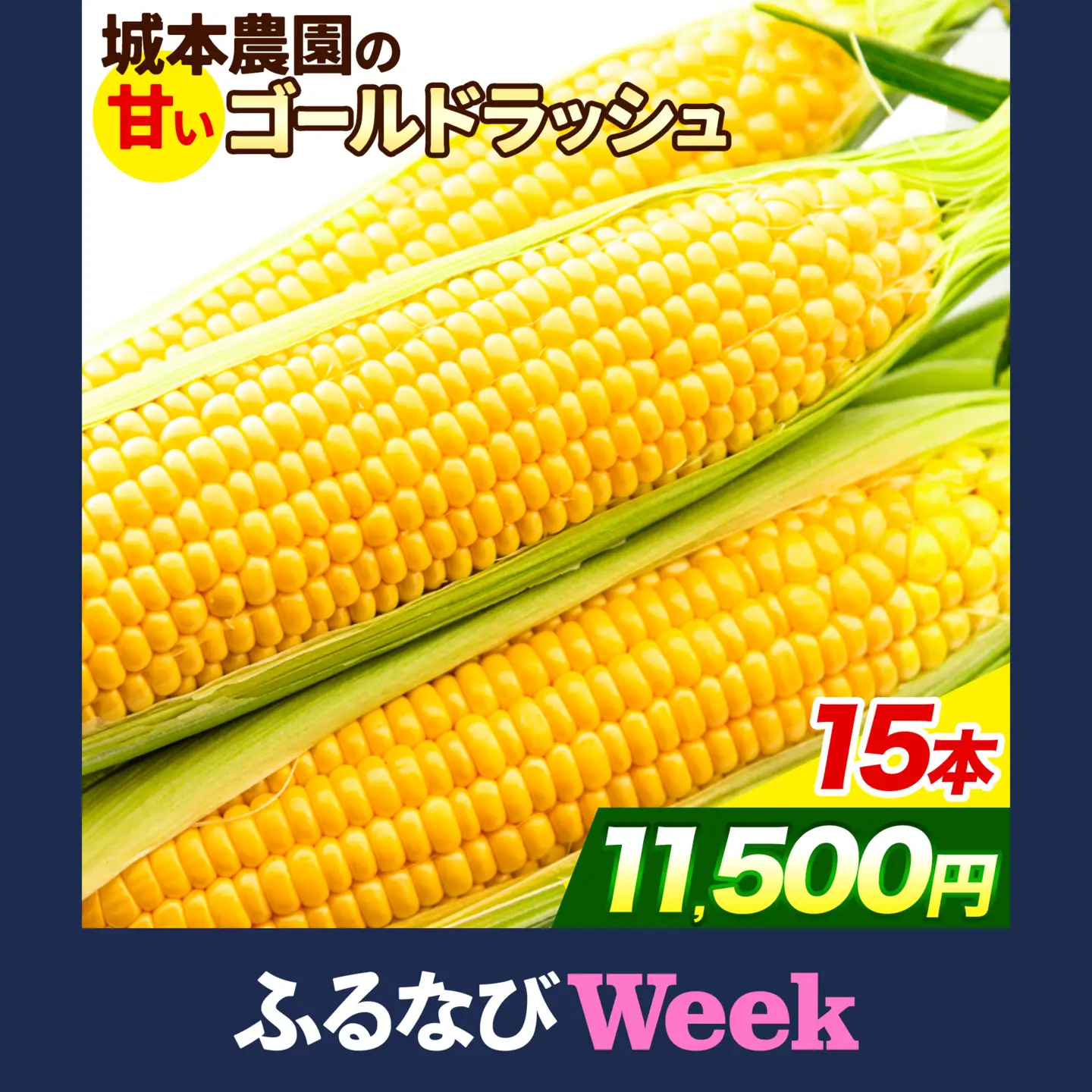 【ふるなびWEEK対象】とうもろこし 15本 城本農園 とうもろこし