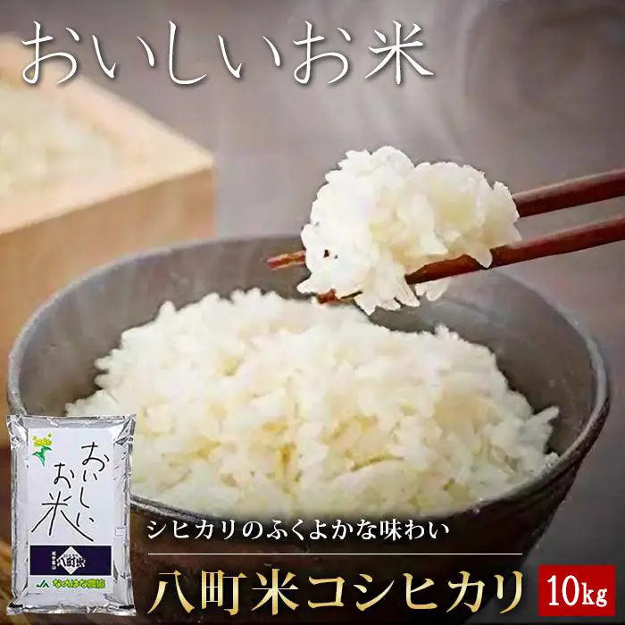 【令和7年産】八町米 コシヒカリ１０Kg