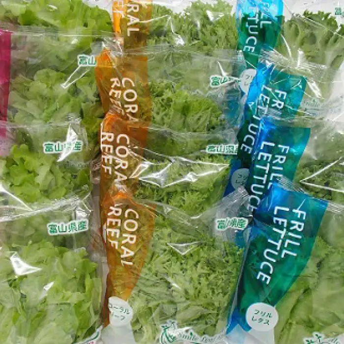 富山のおいしい水と電気エネルギーで生産した安心・安全野菜
