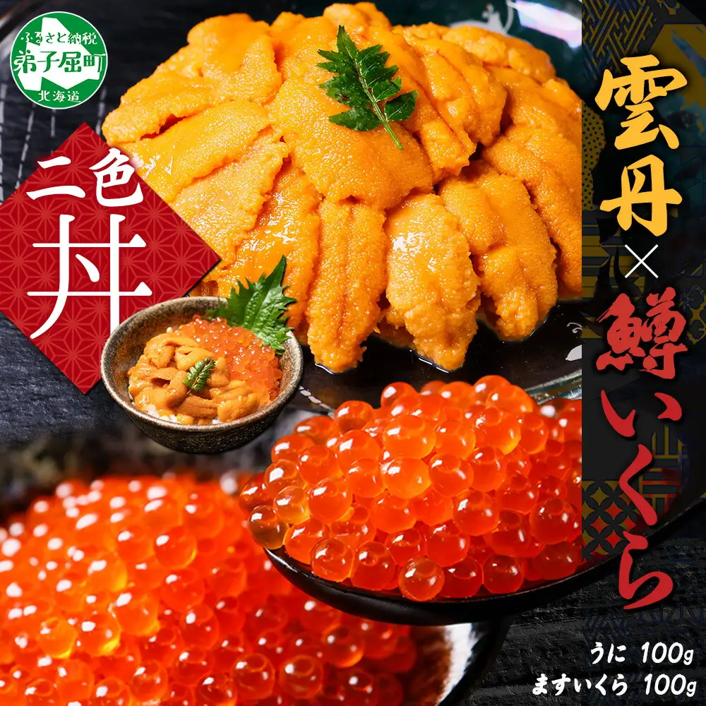 3618. うに チリ産 冷凍 100g 鱒いくら醤油漬け 100g セット ウニ 雲丹 チリ産 ますいくら 鱒 マス イクラ いくら いくら醤油漬け 海鮮 海鮮丼 送料無料 北海道 弟子屈町