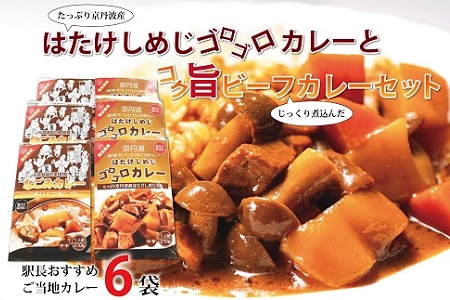 駅長おすすめご当地カレー　はたけしめじゴロゴロカレーとコク旨ビーフカレーセット　[010NA026]