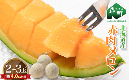 【先行予約】北海道森町産赤肉メロン2～3玉入り（1箱4kg前後）（2026年6月上旬～8月上旬頃に順次お届け）＜道産ネットミツハシ＞  森町 メロン 果物 赤肉 北海道産 mr1-0906