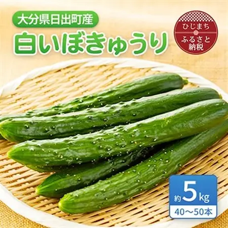大分県日出町産「白いぼきゅうり」5kg(40～50本入り)_野菜   _【1304915】