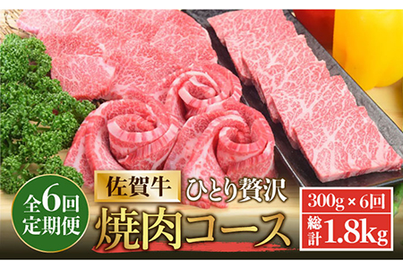 【全6回定期便】佐賀牛希少部位含む?ひとり贅沢焼肉コース? ランプ/クリ/トウガラシ/ザブトン/カイノミなど【ミートフーズ華松】 ブランド 高級 和牛 霜降り BBQ やわらか 冷凍 料理  精肉 牛肉 希少 赤身 イチボ ランプ ミスジ [FAY072]
